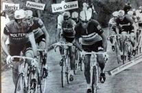 Lino Farisato. Al Tour de France