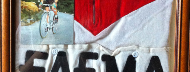 Lino Farisato| La maglia Faema