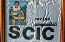 Lino Farisato|La maglia Scic